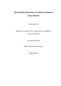 Engineering phd thesis adhesion rough surfaces