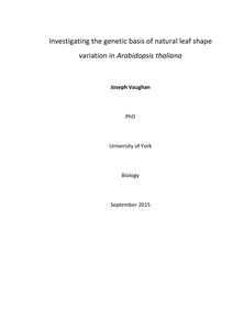 White thesis picture