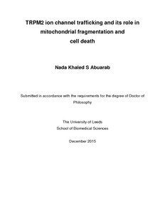 Dissertation vs thesis picture