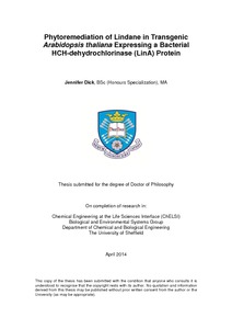 Phd thesis on phytoremediation