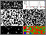 [thumbnail of Example validation figure generated by Appendix 4, a version of the quantitative image analysis code, PAGIS]