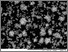 [thumbnail of Example validation input image for use by Appendix 4, a version of the quantitative image analysis code, PAGIS]