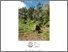 [thumbnail of Diogo Thesis.pdf]