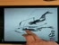 [thumbnail of Two Movable Shrimps_1.mp4]