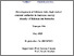[thumbnail of XiaoqunShi_finalMhpil.pdf]
